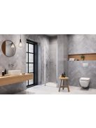 Radaway Eos DWJ II zuhanyajtó 120 átlátszó balos