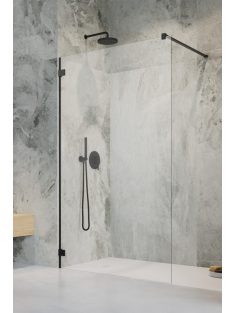   Radaway Essenza Pro Black Walk-in fekete zuhanyfal 65 átlátszó
