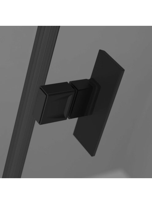 Radaway Nes 8 Black DWD I fekete zuhanyajtó 75 (35B+40J) átlátszó
