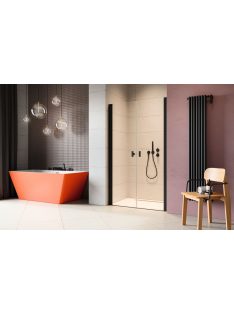   Radaway Nes 8 Black DWD I fekete zuhanyajtó 120 (60B+60J) átlátszó