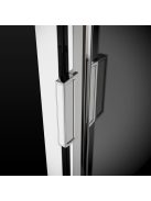 Radaway EVO DW zuhanyajtó 110 átlátszó