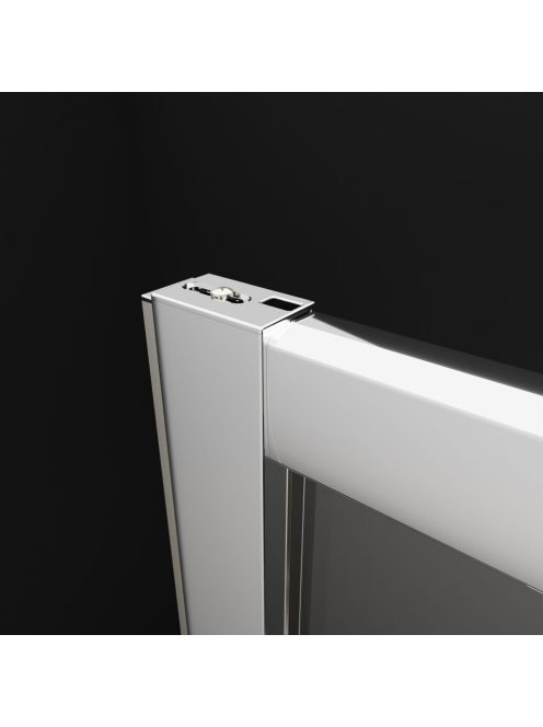 Radaway Premium Pro DWJ zuhanyajtó 110 balos